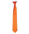 PR755 Premier 'Colours' Satin Clip Tie Terracotta colour image